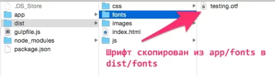 font-copy.webp